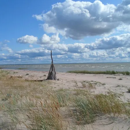 ロッジ Tihase Puhkemajake *