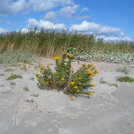 Lodge Tihase Puhkemajake *