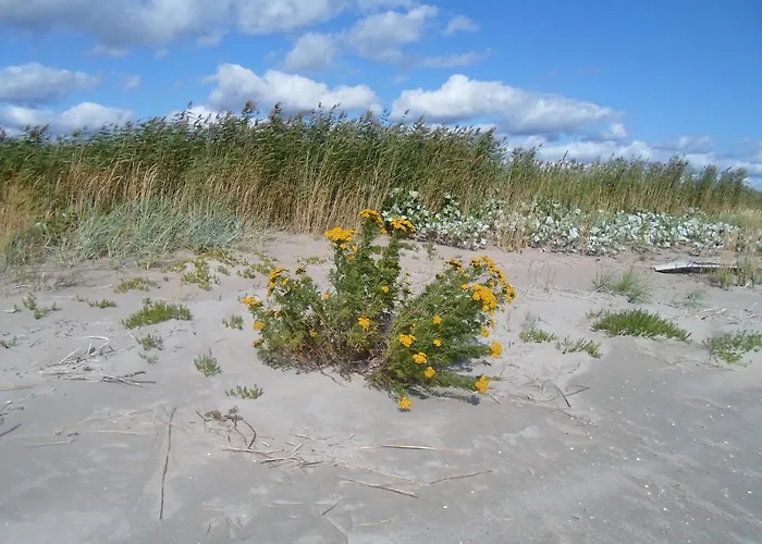 Lodge Tihase Puhkemajake *